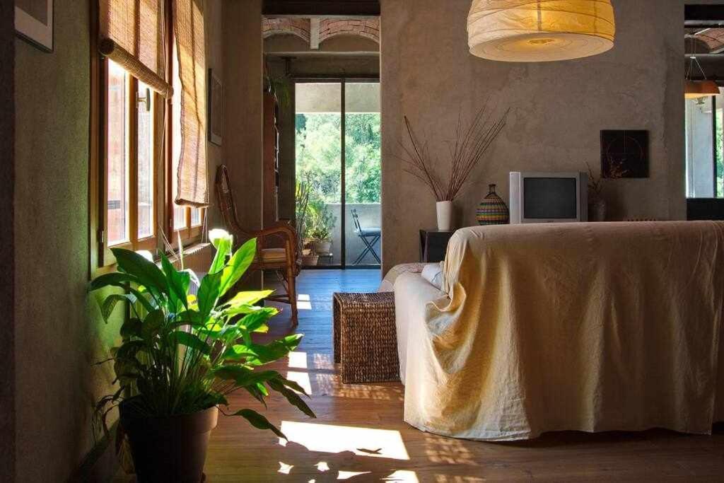 Sleep & Stay Artistico Loft Sant Daniel Gerona Exterior foto